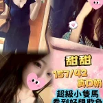 新北定點茶-甜甜