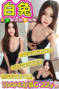 台東定點茶-白兔