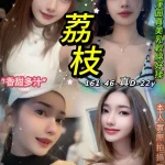 台北定點茶-荔枝