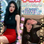 新竹定點茶-小嬌妻