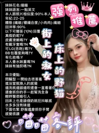 雲林定點茶-喵喵:圖片 2