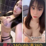 南投定點茶-晨心