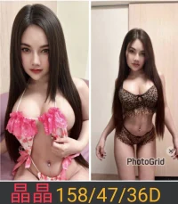 南投定點茶-晶晶