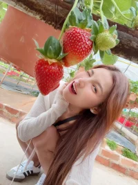 台北定點茶-悠娜娜：圖片 3