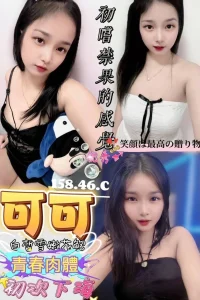 屏東定點茶-可可