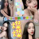 新竹定點茶-燦燦