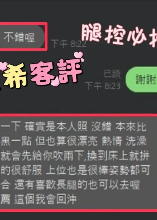 南投定點茶-夏希