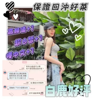 台南定點茶-白鹿
