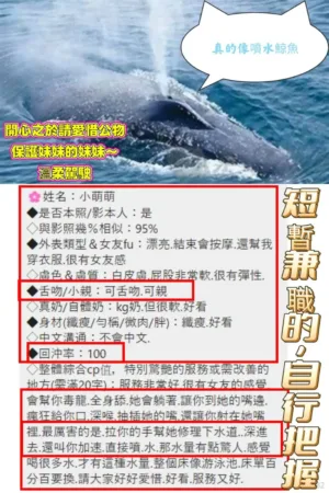 高雄定點茶-小萌萌