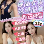 新竹定點茶-沛芸
