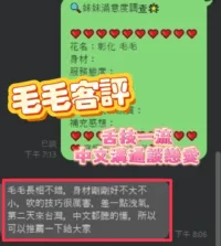 彰化定點茶-毛毛