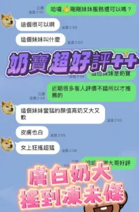 台南定點茶-奶寶