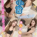 新北定點茶-小苗