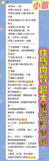 新北定點茶-小苗