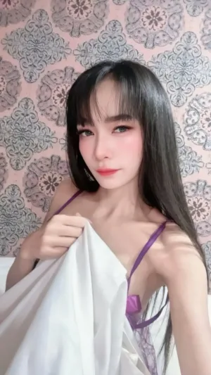 台北定點茶-梨香