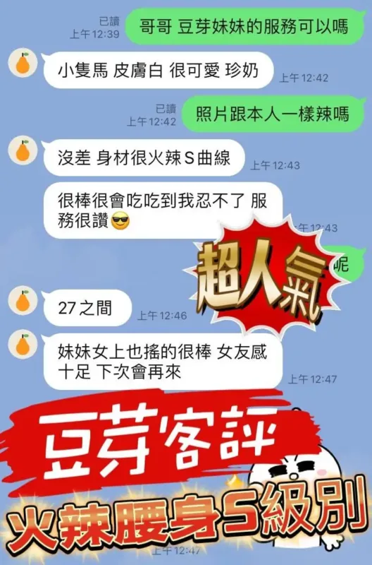 南投定點茶-豆芽
