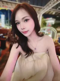 台北定點茶-桐桐