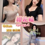 台南定點茶-櫻花妹