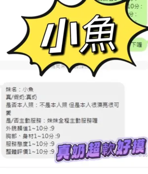 南投定點茶-小魚