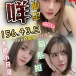 苗栗定點茶-咩咩