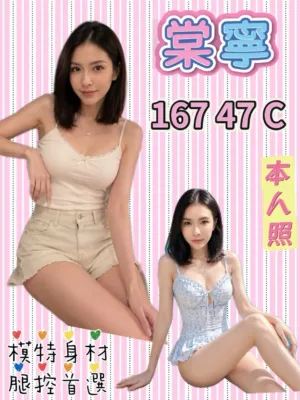 新北定點茶-棠寧