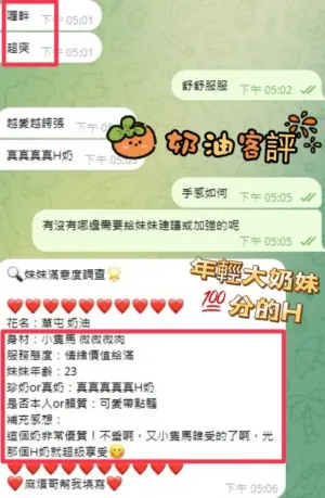 南投定點茶-奶油