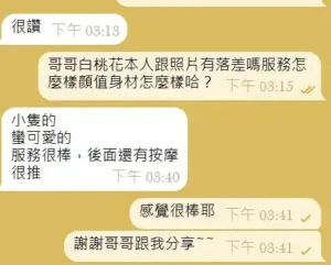 新竹定點茶-白桃花　