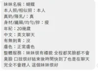 屏東定點茶-蝴蝶
