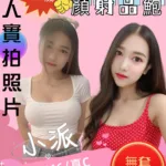 苗栗定點茶-小派