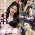 台北定點茶-維納斯