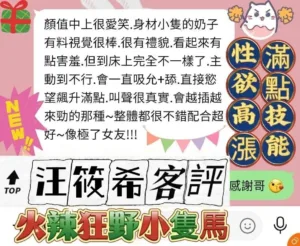台南定點茶-汪筱希