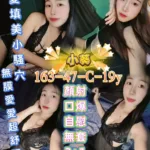 屏東定點茶-小葵