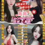 桃園定點茶-美美