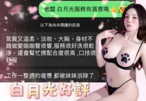 台中定點茶-白月光