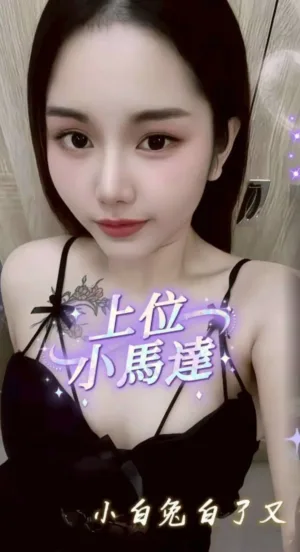 南投定點茶-小兔