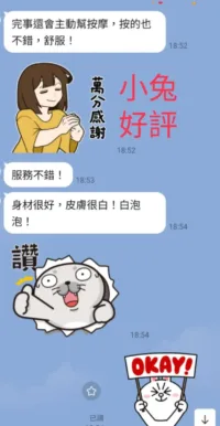 南投定點茶-小兔